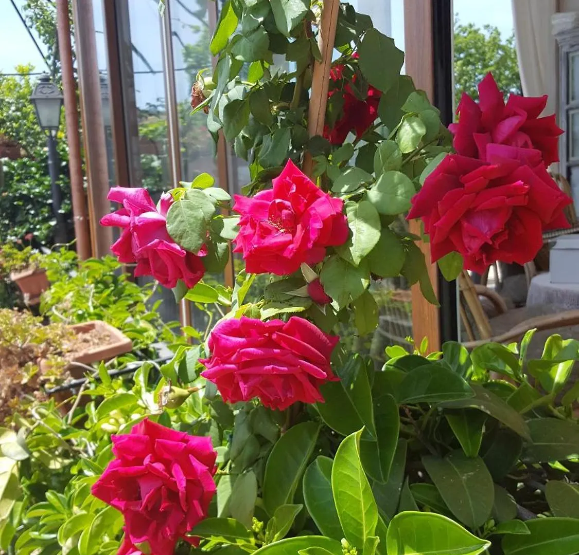 Il Giardino Segreto Bed and Breakfast Trappitello Bed & Breakfast